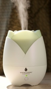 Home-Diffuser.jpg