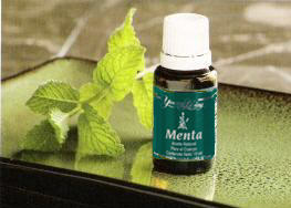Mentha-piperita.jpg