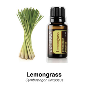 dt lemongrass.jpg